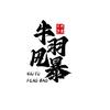 牛羽风暴