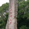 无情三公主