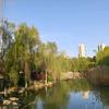 匆匆