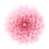 程芳