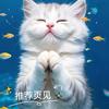 锦鲤予你(关必回，上限明回)