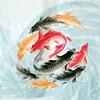 曾yi.sheng
