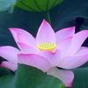 春暖花开1314