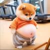要开心要快乐