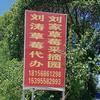 刘涛草莓代办