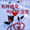 恩识字图书