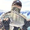 斌神🎣沧海钓影