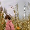 人间小屋集