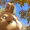 经贸乌萨奇学长