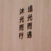 小熊糖糖🦋