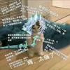 爱能做到什么