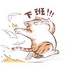 小彬彬