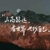 非鲤不可