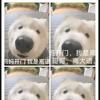 欣赏世间一切美好( ˝ᗢ̈˝ )