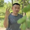 高乐高