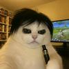 雯雯🐱