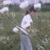 黎（萱菲萱怡）汪