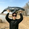 野钓选手小鹿