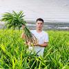 张亮大姜 服务四方（百亩大姜种植基地）