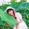 一路芬芳
