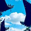我在等 风也在等