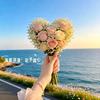 美不胜收呐