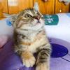 一朵小梨花 🐾