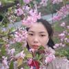 静静林