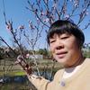 安妮