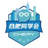 奇瑞合肥车友会（风云A9L婚车队主理人）