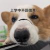 梧真心iovok