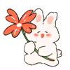 碎碎念💫（涨粉版）