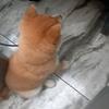 @逗逗@