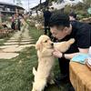 是个岛主