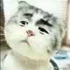 墨子渊😂
