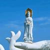 清风伴平和