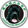 魔血猛犬普雷萨