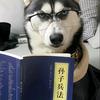 神评娱乐圈