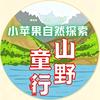 青岛小苹果自然探索