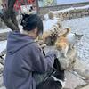 小超超
