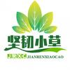坚韧小草