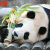 兴汉