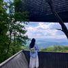 @盼盼(文案馆)