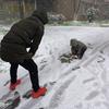 Shi_小君