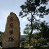 甜柚籽