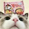 悸梦挽love
