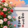 家有萌宝初长成