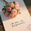 多多吖