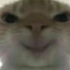 萌新鼠（超菜版）