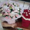 小芽芽々